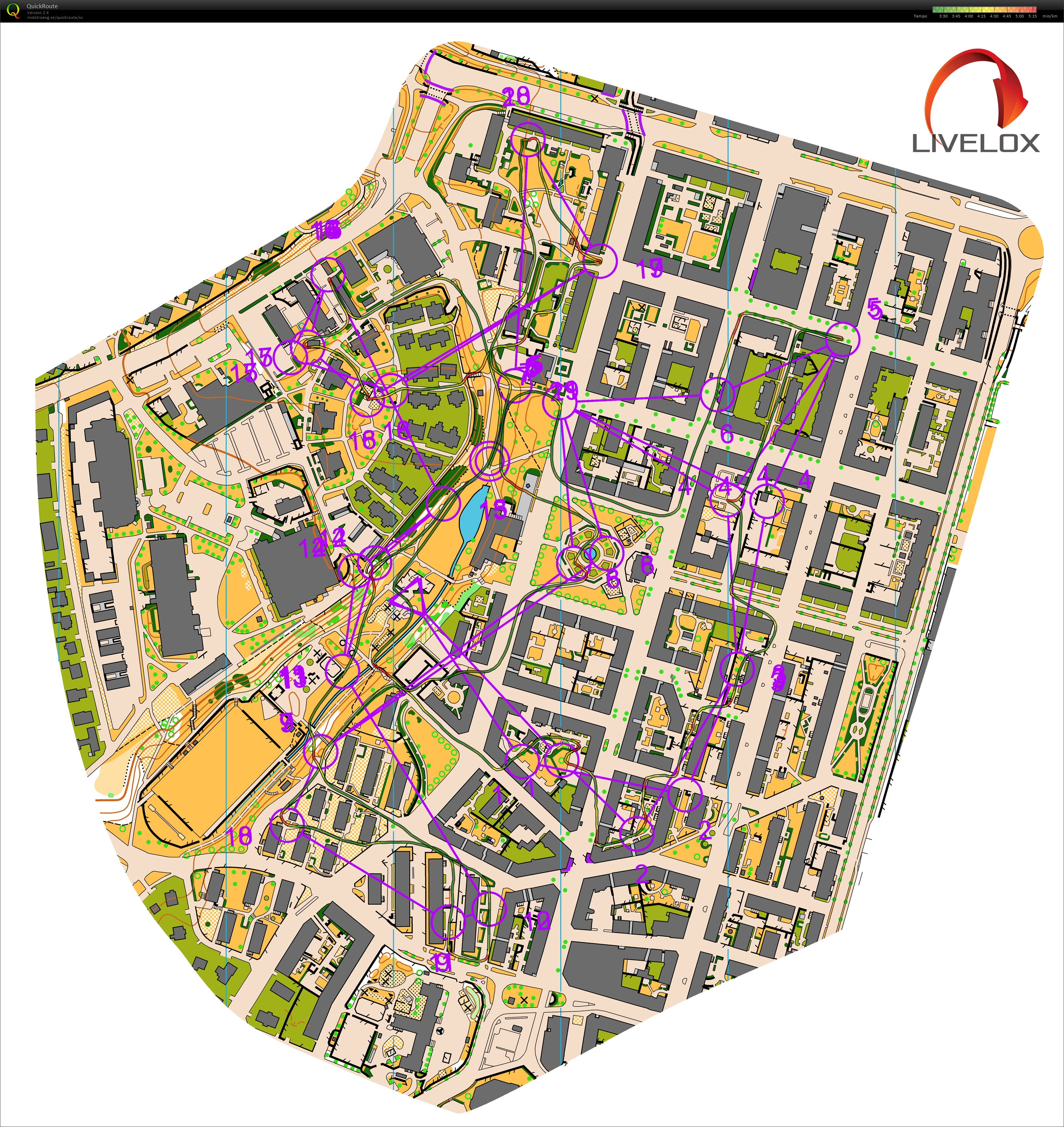 Karta från Sprint-SM, stafett