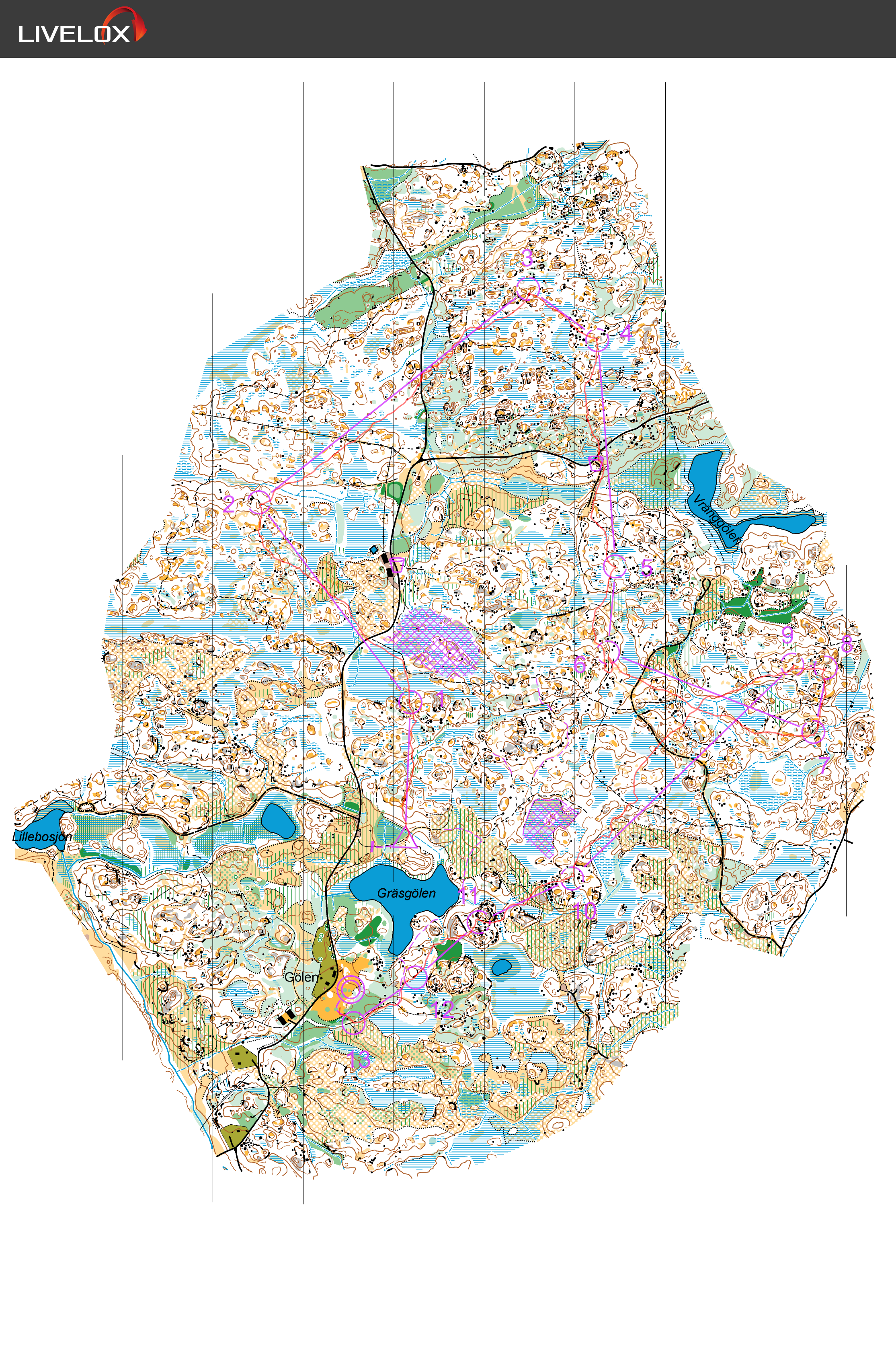 Orienteringskarta från Motalaträffen