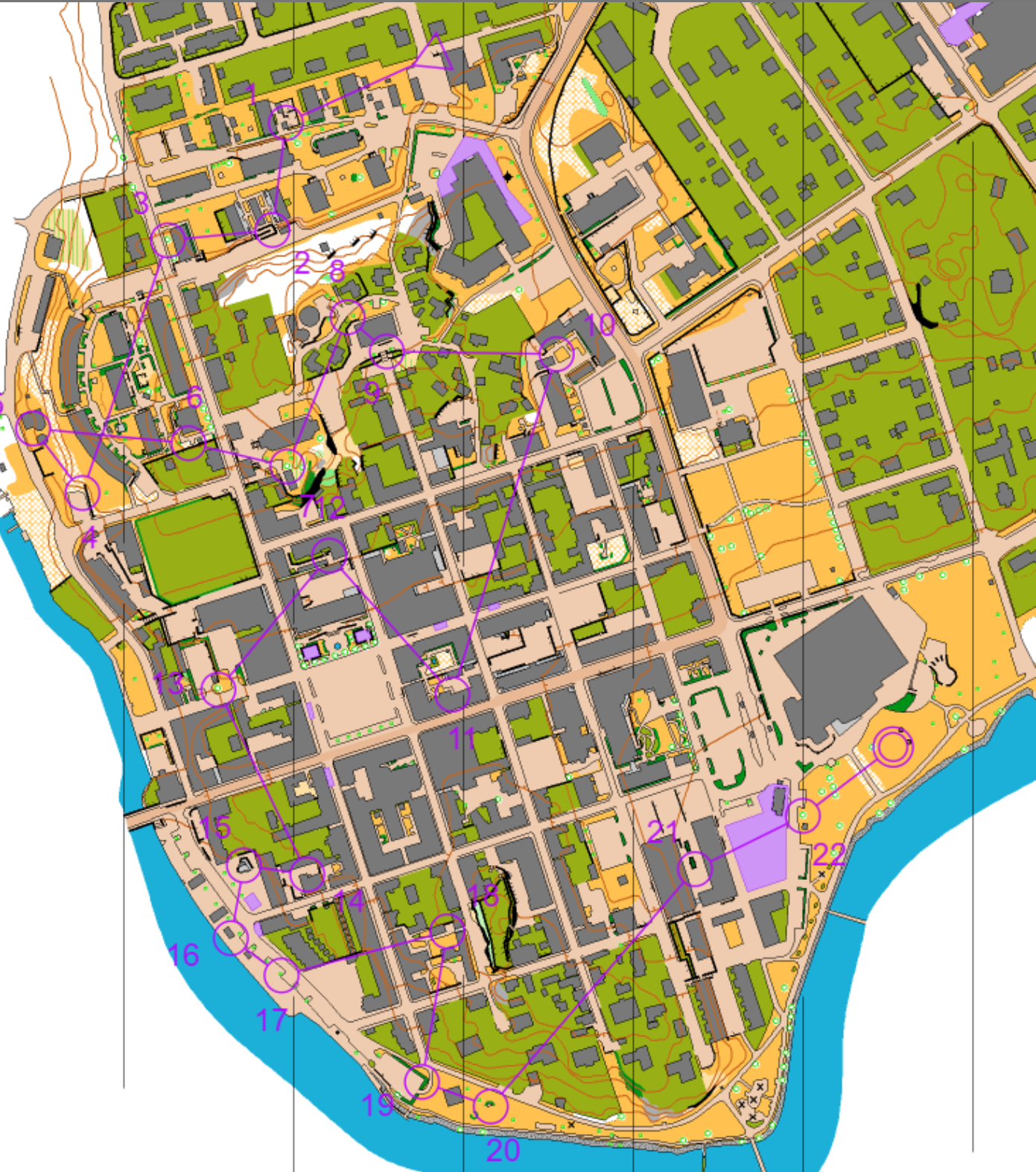 Karta från Veteran-SM, sprint