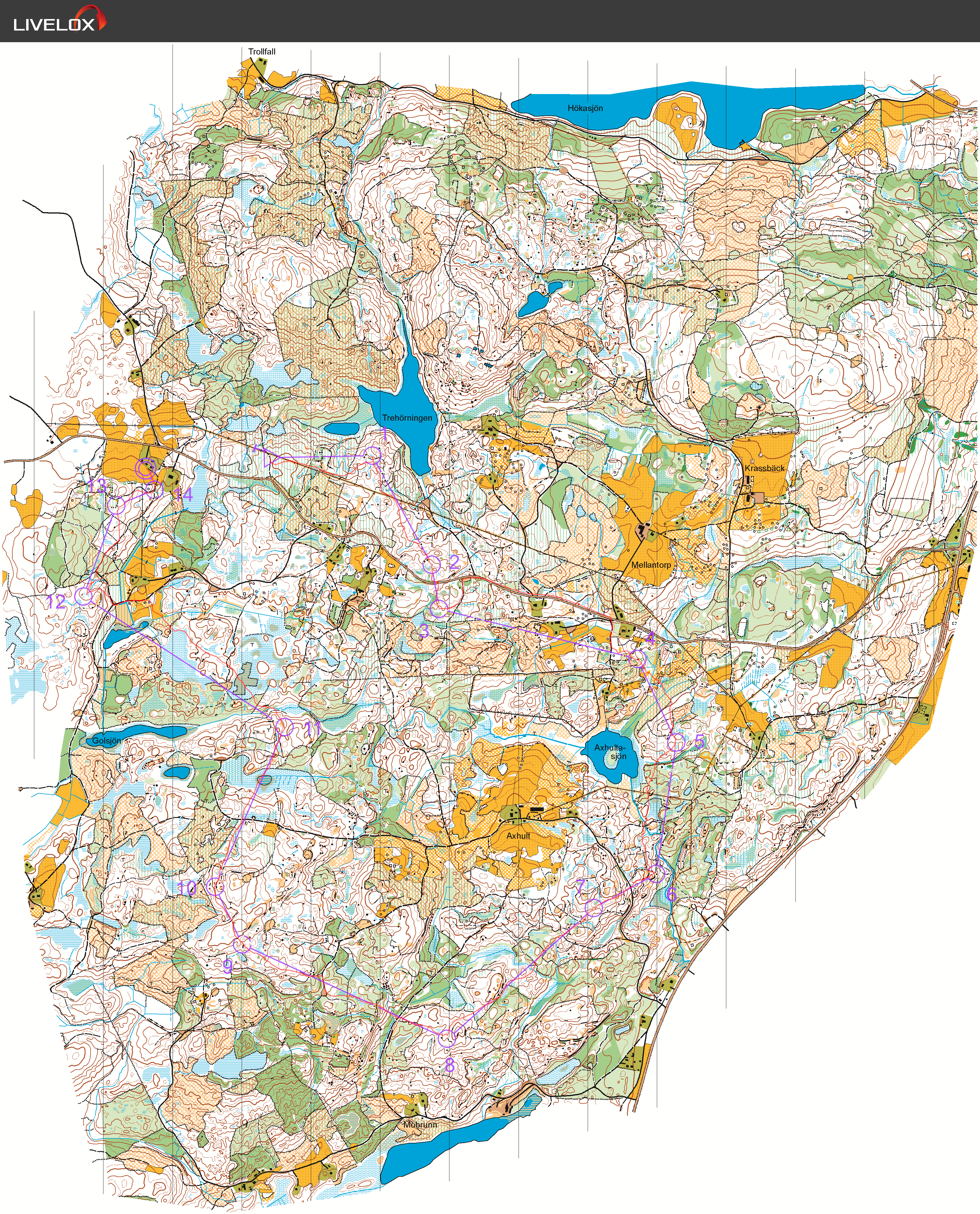 Orienteringskarta från DM, lång, Östergötland