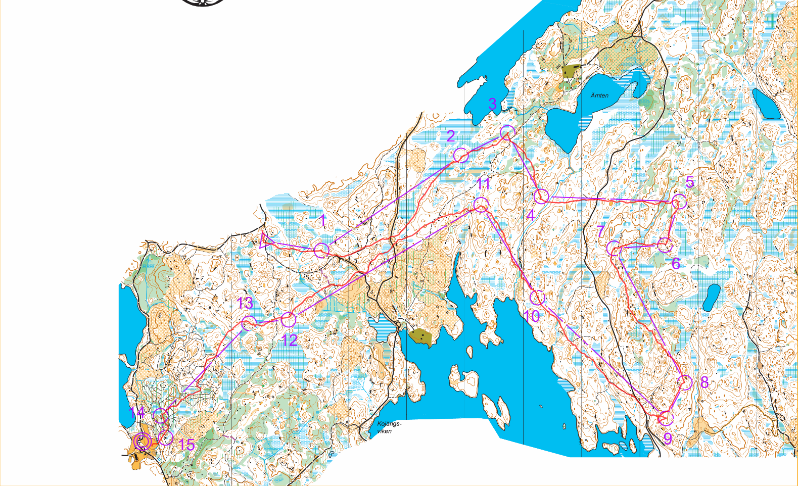 Orienteringskarta från NAIS-träffen, lång