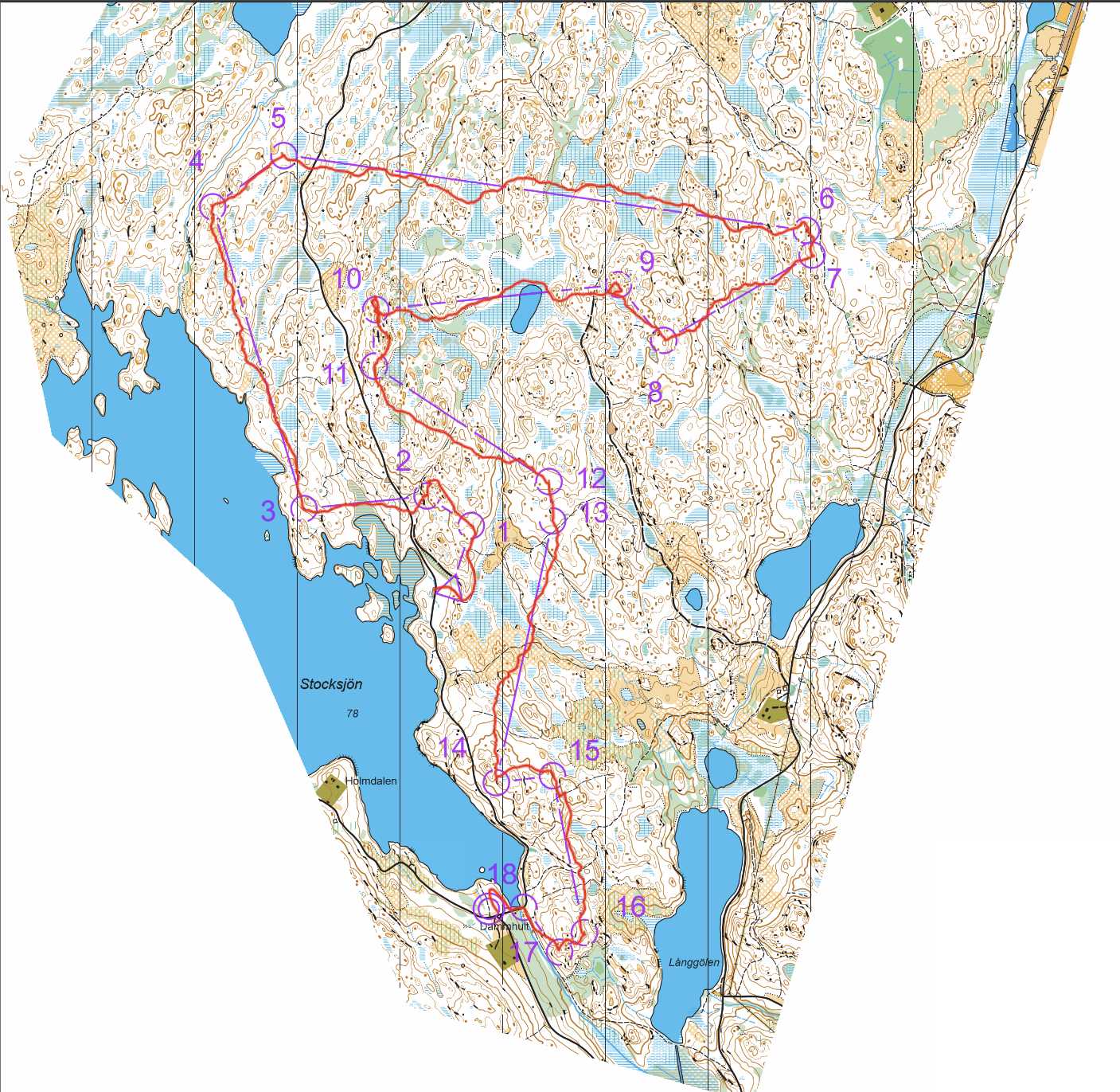 Orienteringskarta från NAIS-Träffen Lång